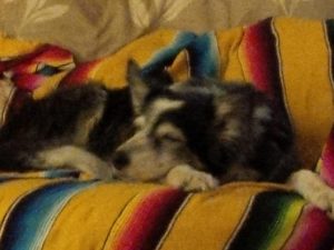 IMG_1572 IMG_1572