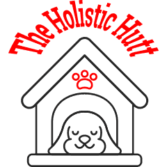 holistic-hut-240