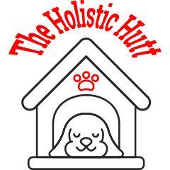 holistic-hut-240